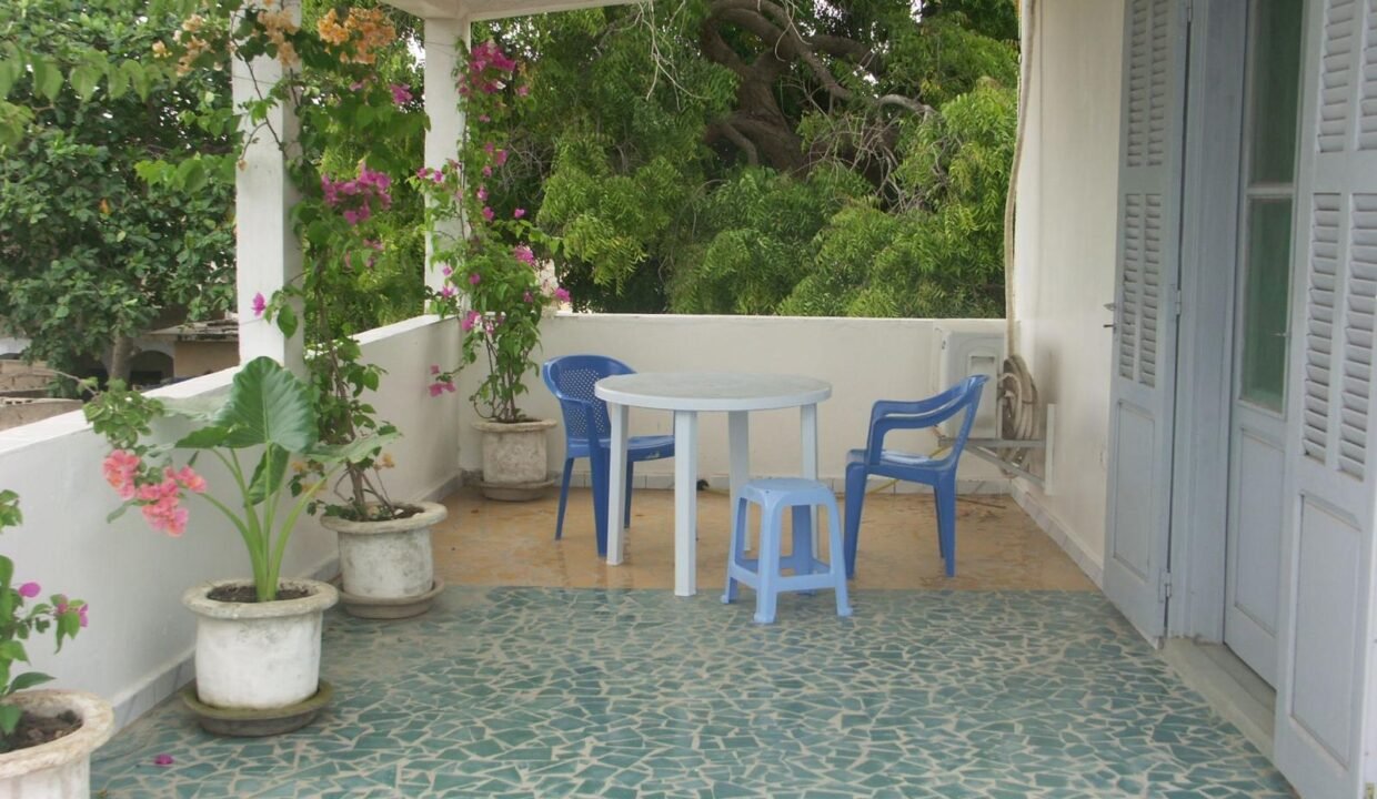 WhatsApp Image 2025-02-14 at 15.19.25 (1)