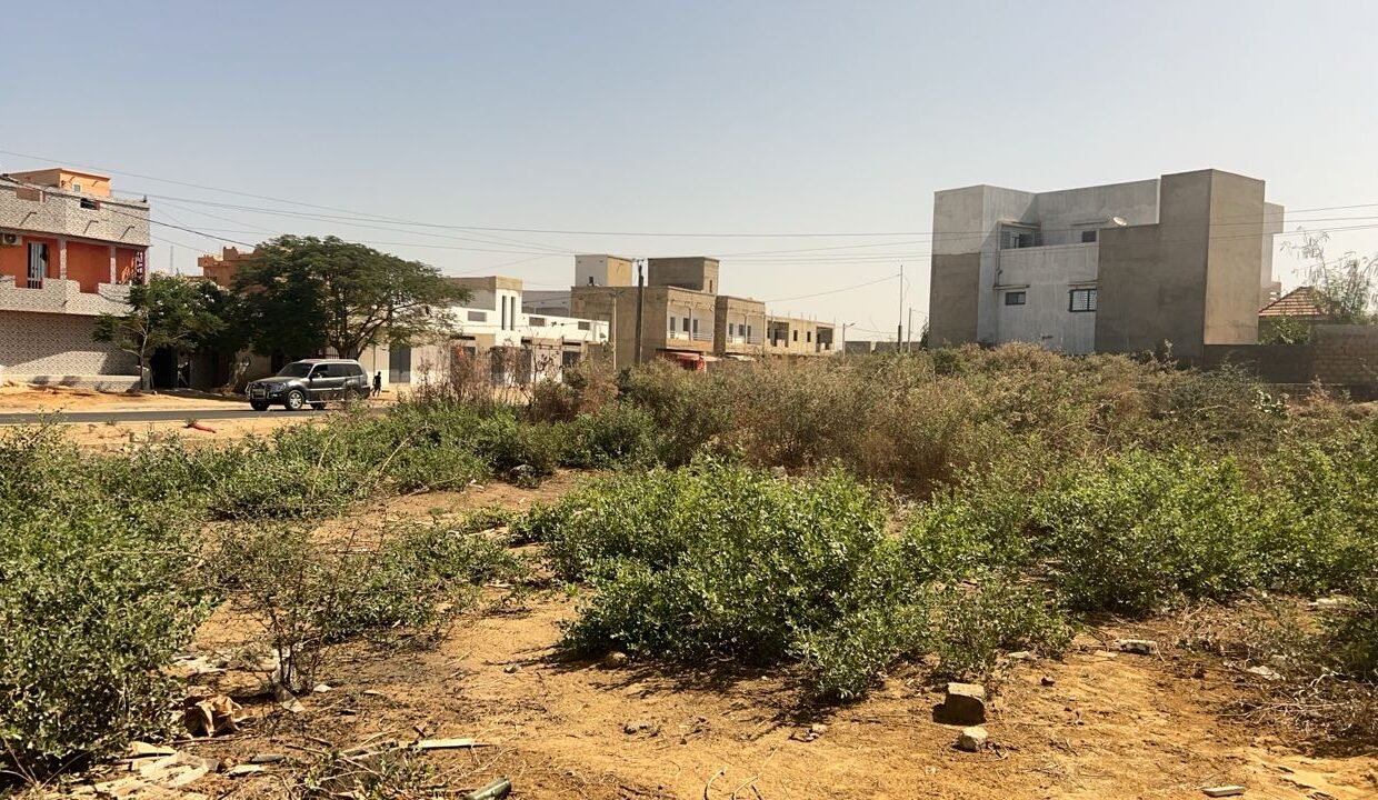 Terrain de 300m2 à Saly vélin 02