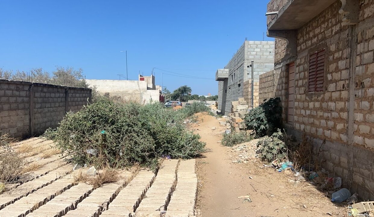 Terrain de 300m2 à Saly vélin 04